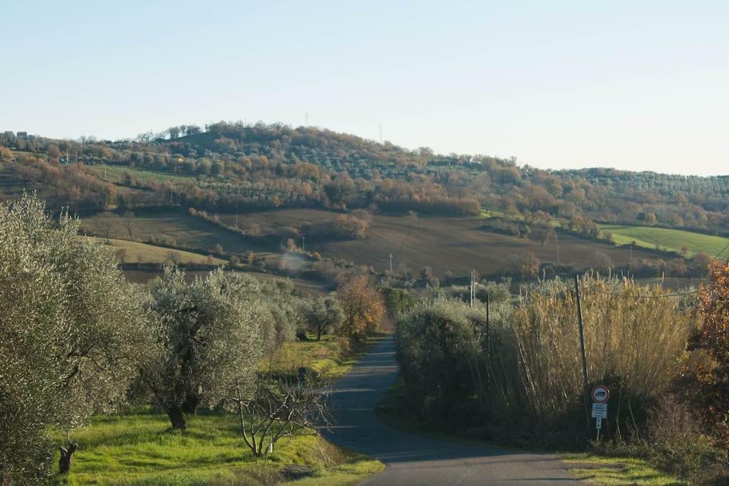 Le Casette Country House 2 Petricci Exterior photo